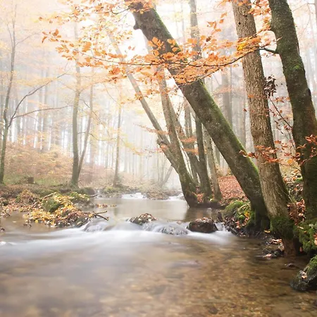 Fischenhaus アパート