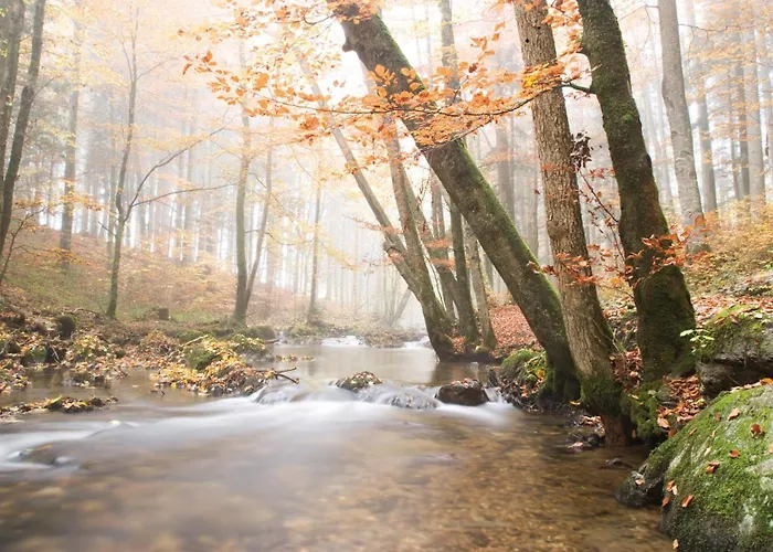 Fischenhaus Appartement